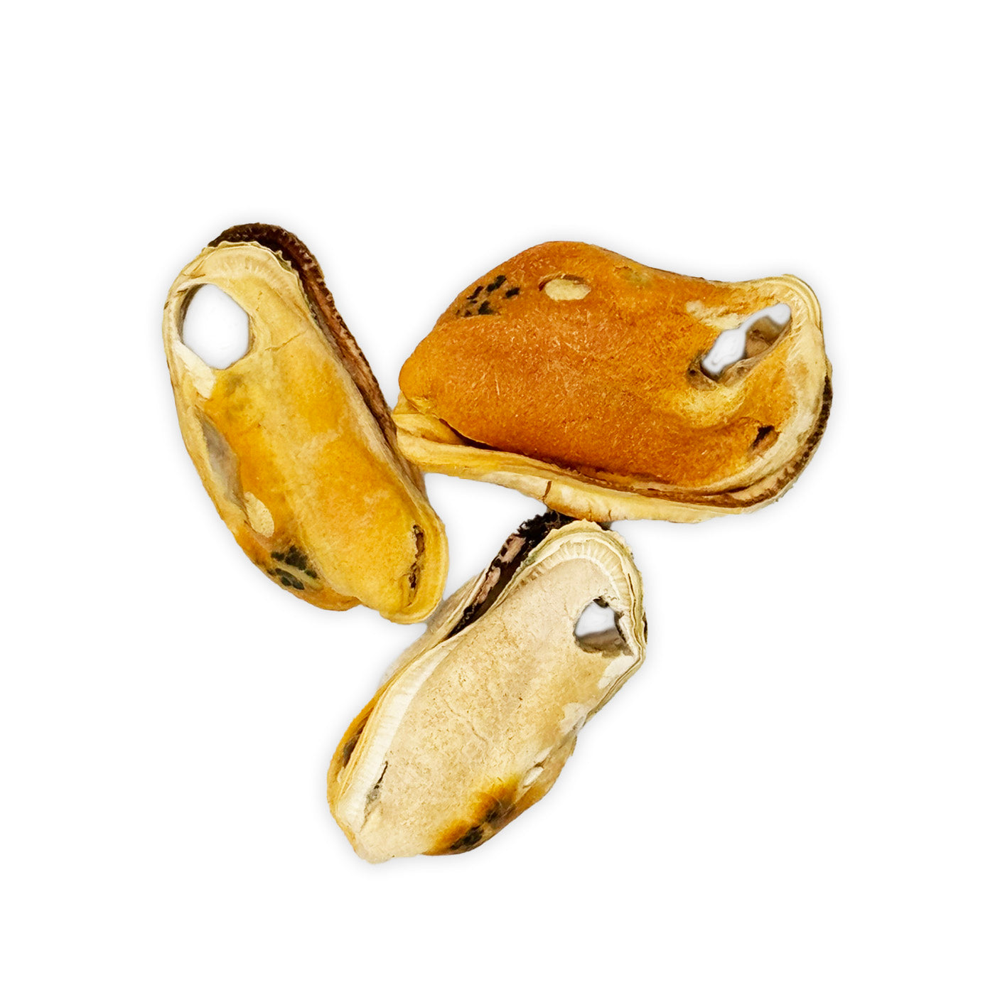 Freeze Dried Green Lipped Mussels