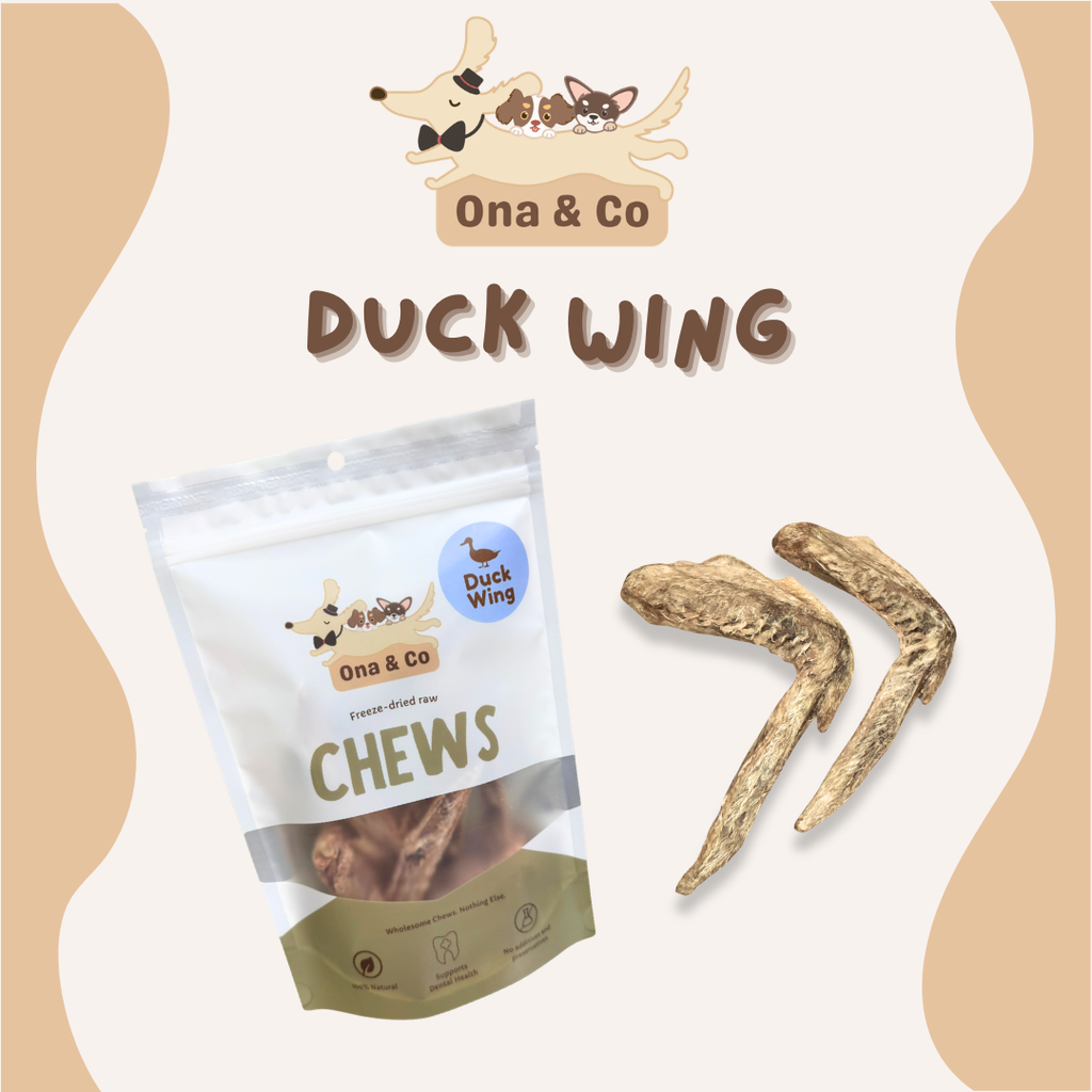 Freeze Dried Bulk Duck Wings
