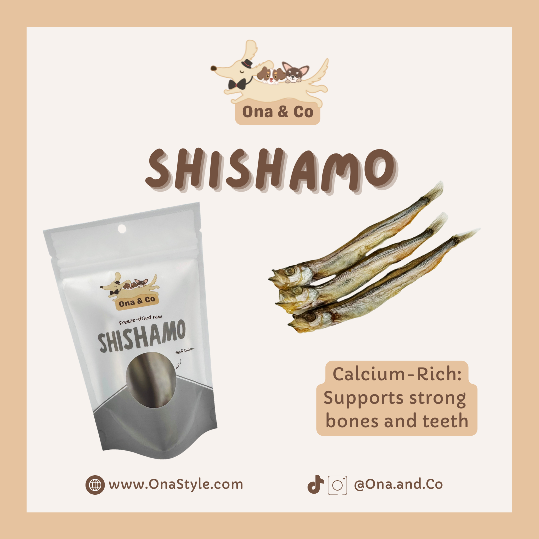 Freeze Dried Shishamo