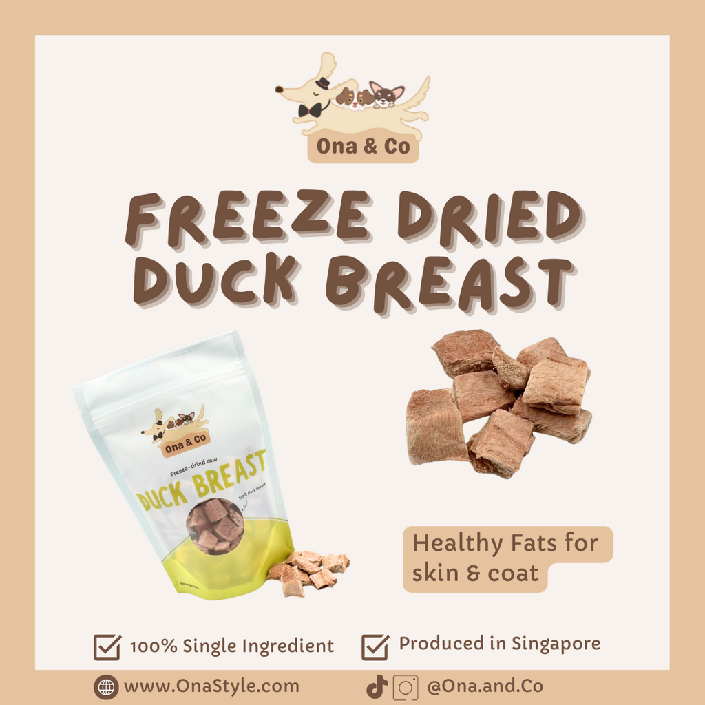 Freeze Dried Duck Breast