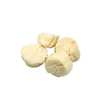 Freeze Dried Hokkaido Scallop