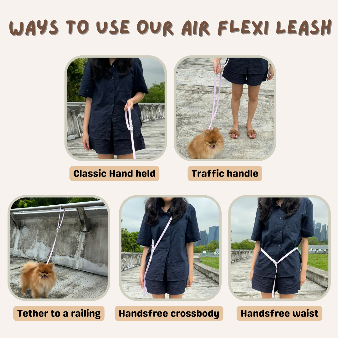 Air Flexi Leash - Baby Blue
