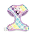 Adjustable harness - Rainbow Paws