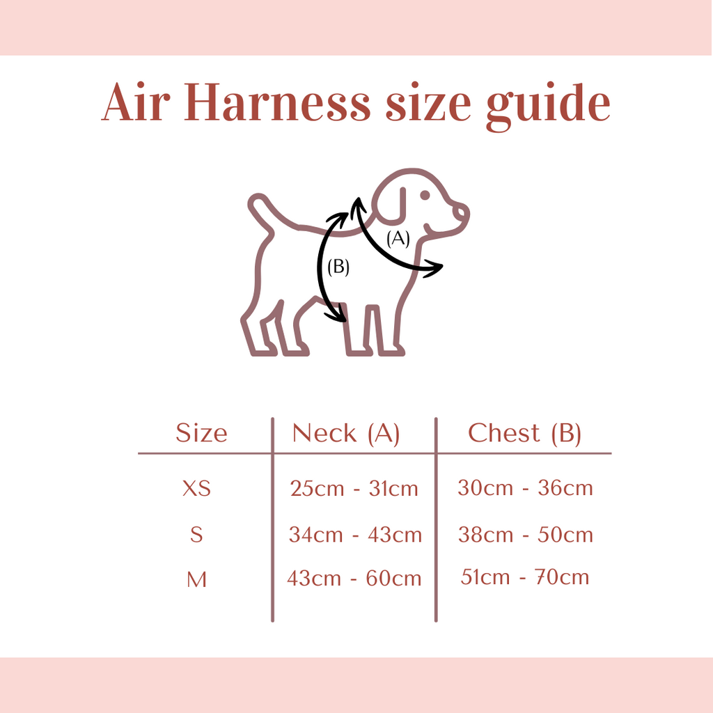 Air Harness - Baby Blue