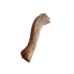 Freeze Dried Duck Neck