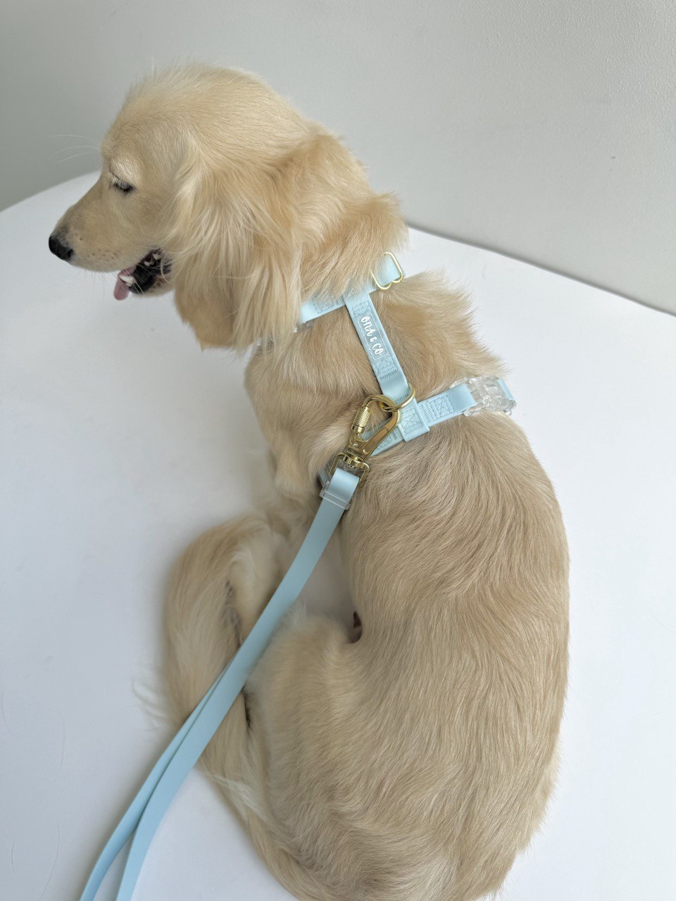 Air Harness - Baby Blue